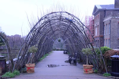 DSC_6183 (Large).JPG